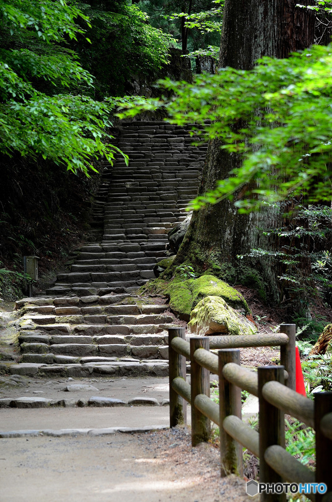 奥の院への道