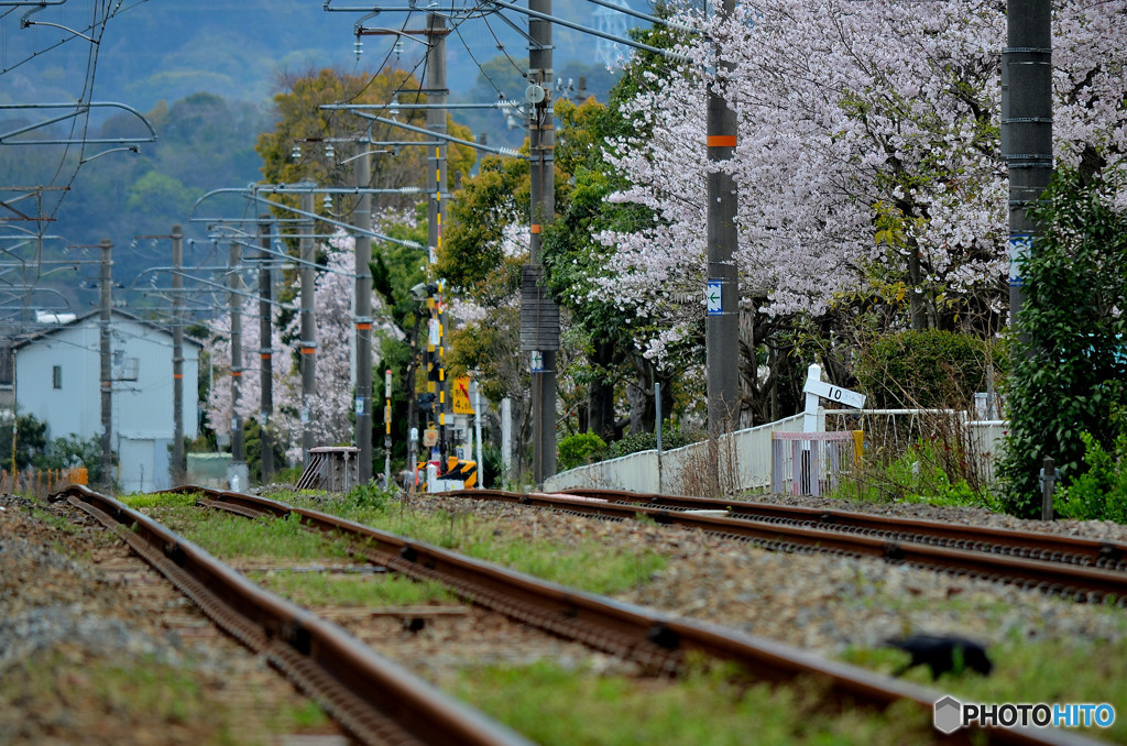 線路は続く～よ～　ど～こまで～も～