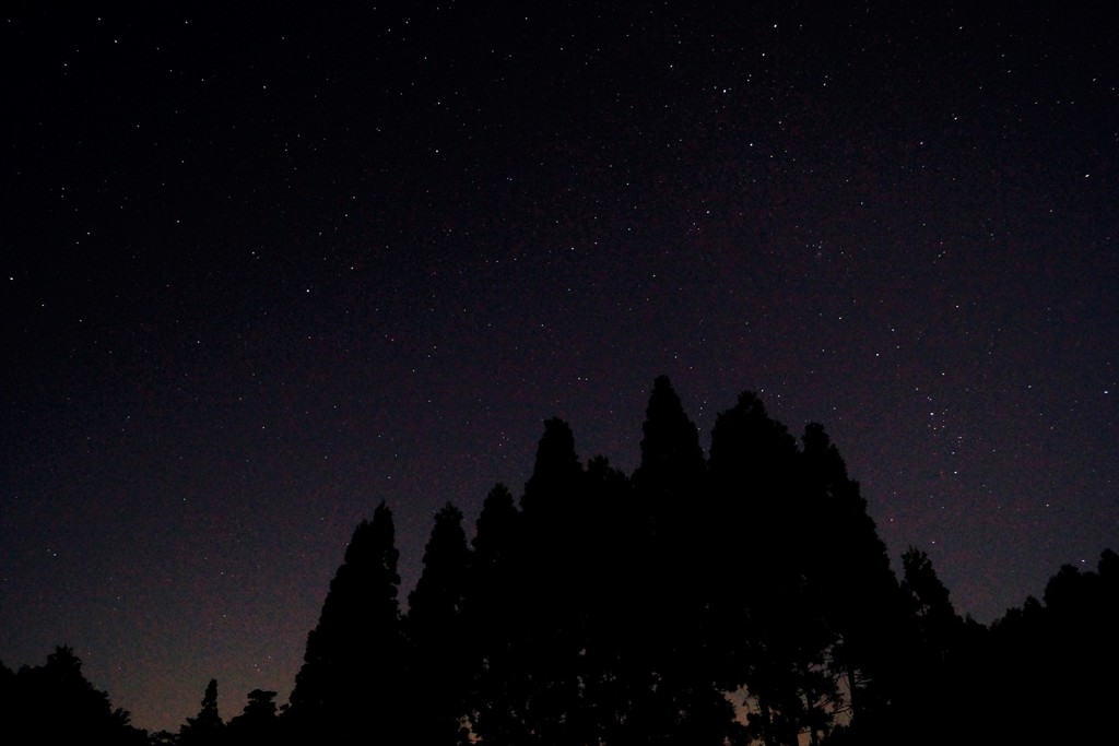 福岡県八女市　星野村