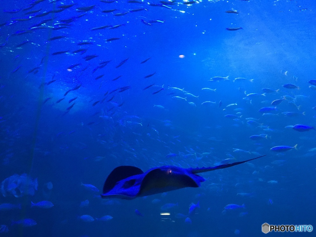 水族館