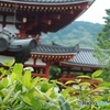 寺院と緑01