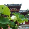 寺院と睡蓮01