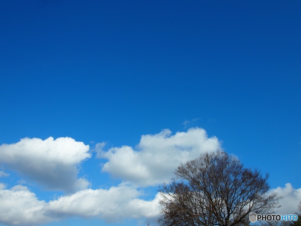 冬空02