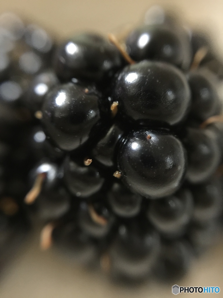 ブラックベリー