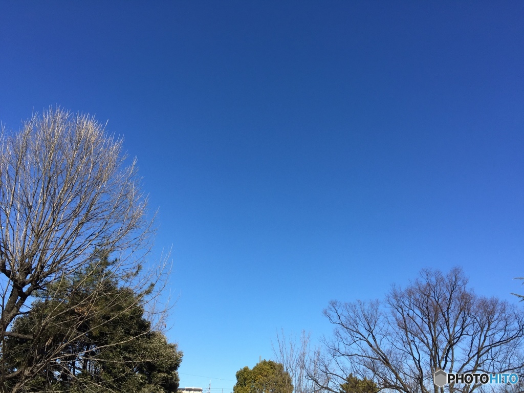 冬空05