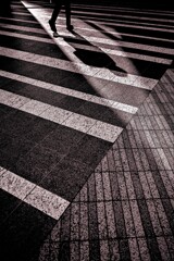 ストライプ