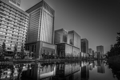 馬場先濠付近の風景