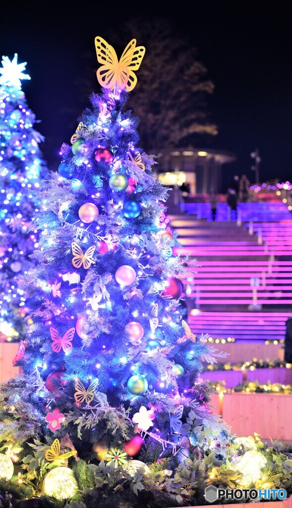 クリスマスイルミネーション