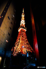 ここからも東京タワー