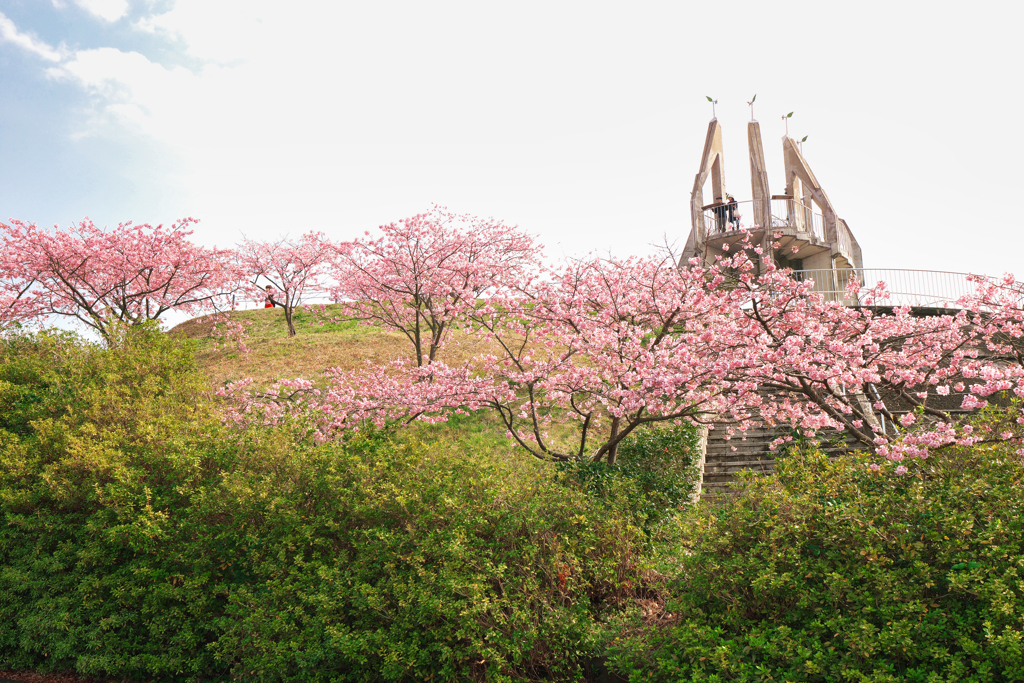 御立岬公園