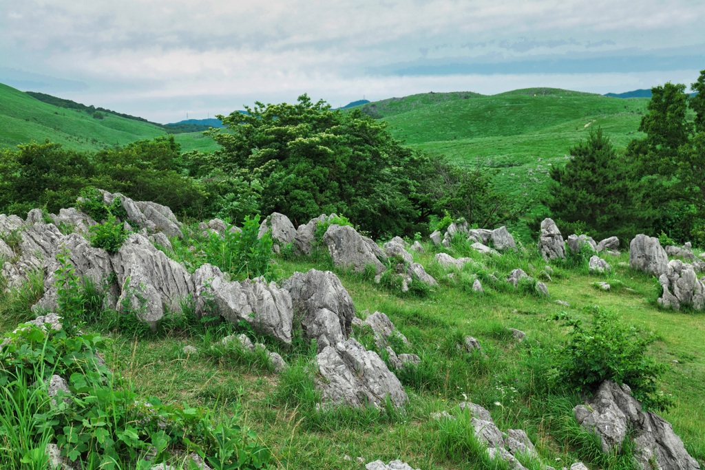 石灰岩