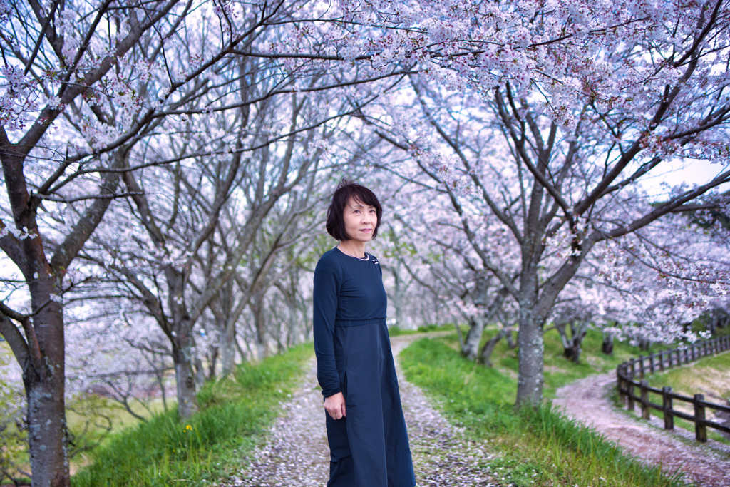 桜ポートレート