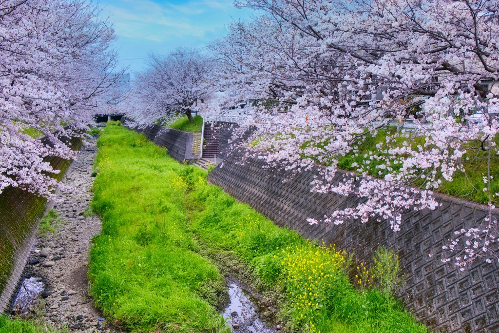 保田窪放水路