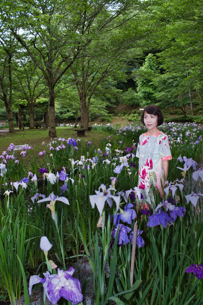 花しょうぶ