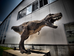 ティラノサウルス