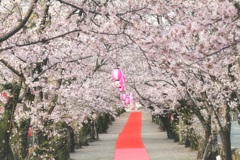 祭りのあと
