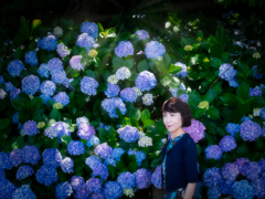 E-M1紫陽花ポトレ
