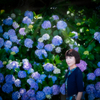 E-M1紫陽花ポトレ