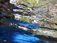 清流ふたたび
