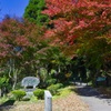 山吹水源