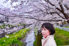 桜ポートレート