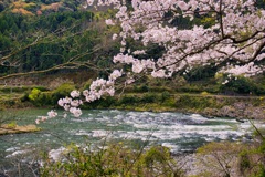 球磨川