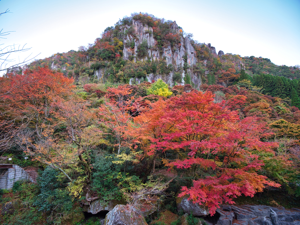 一目八景