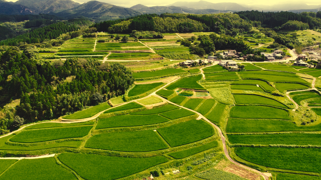 棚田の空撮