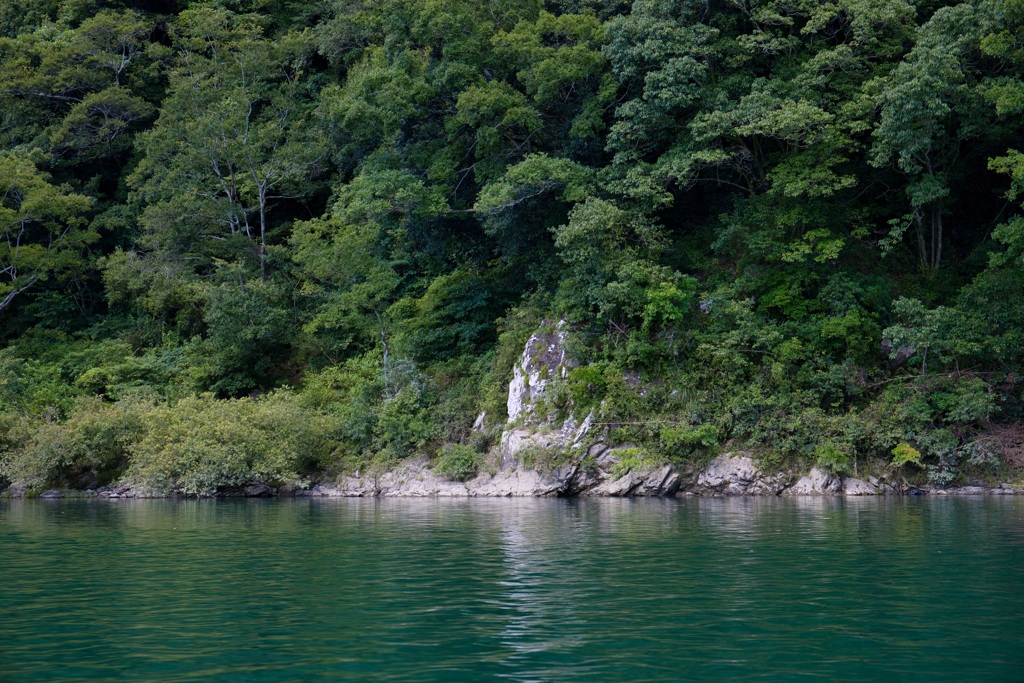 四万十川下流域