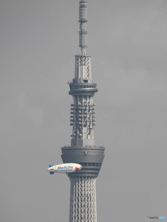 ランデブー