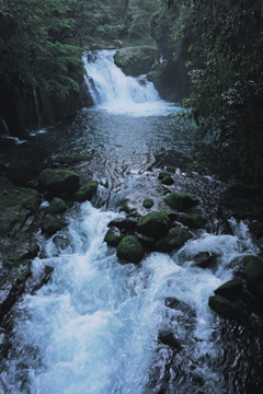 Deep Green-L