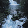 Deep Green-L