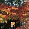 大興善寺