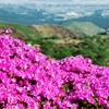 深山霧島と仏舎利