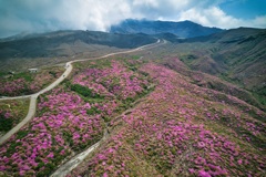 中岳火口