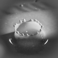 Milk Crown