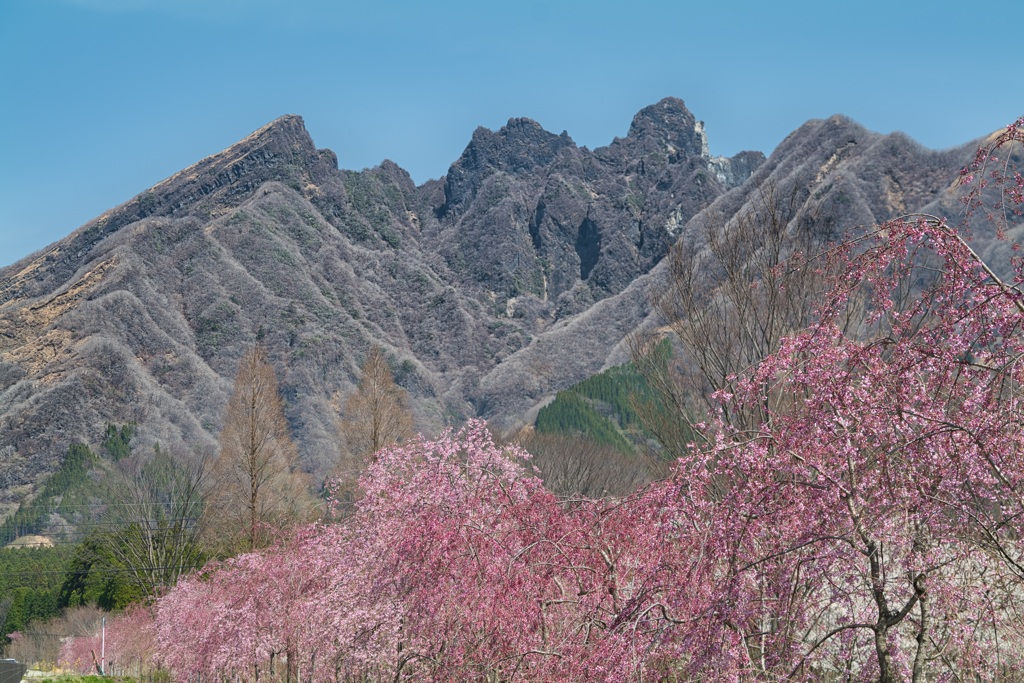 根子岳