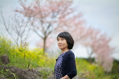 菊池川の桜