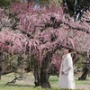 梅林寺