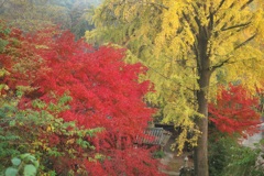 康平寺