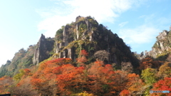 一目八景