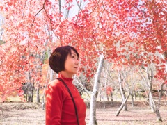 red coordinates