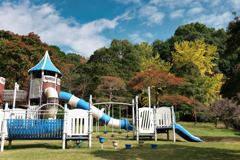 Park rides or structures?