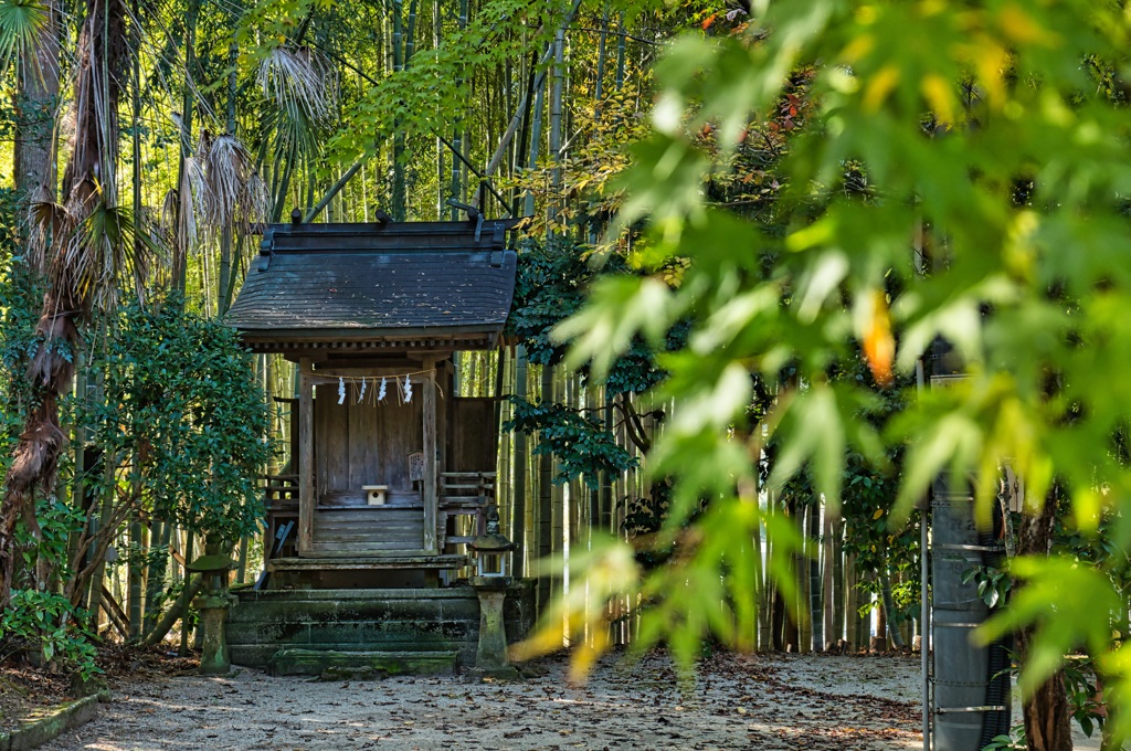 宿大神社