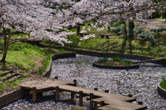 花筏