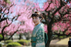 紅梅と