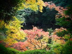 泰勝寺跡_地震後立ち入り制限ちう