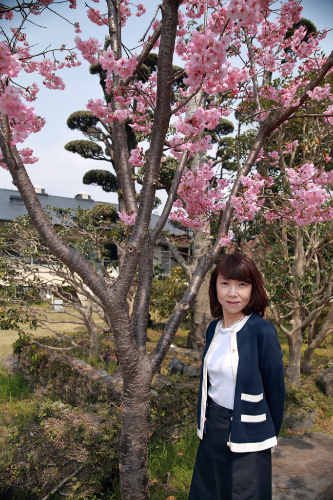 嫁ポ_河津桜