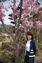 嫁ポ_河津桜