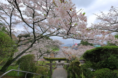 武雄神社